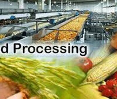 UAE-India Food Corridor investment to boost Food Processing Startup